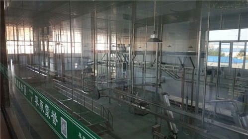 年屠宰10万只不费劲！这家肉羊屠宰设备厂家直供方案，成本直降30%
