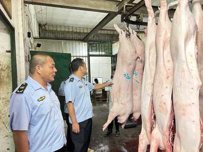 圆月庆团圆 监管保安全——屠宰设备稳固护航节庆食品安全